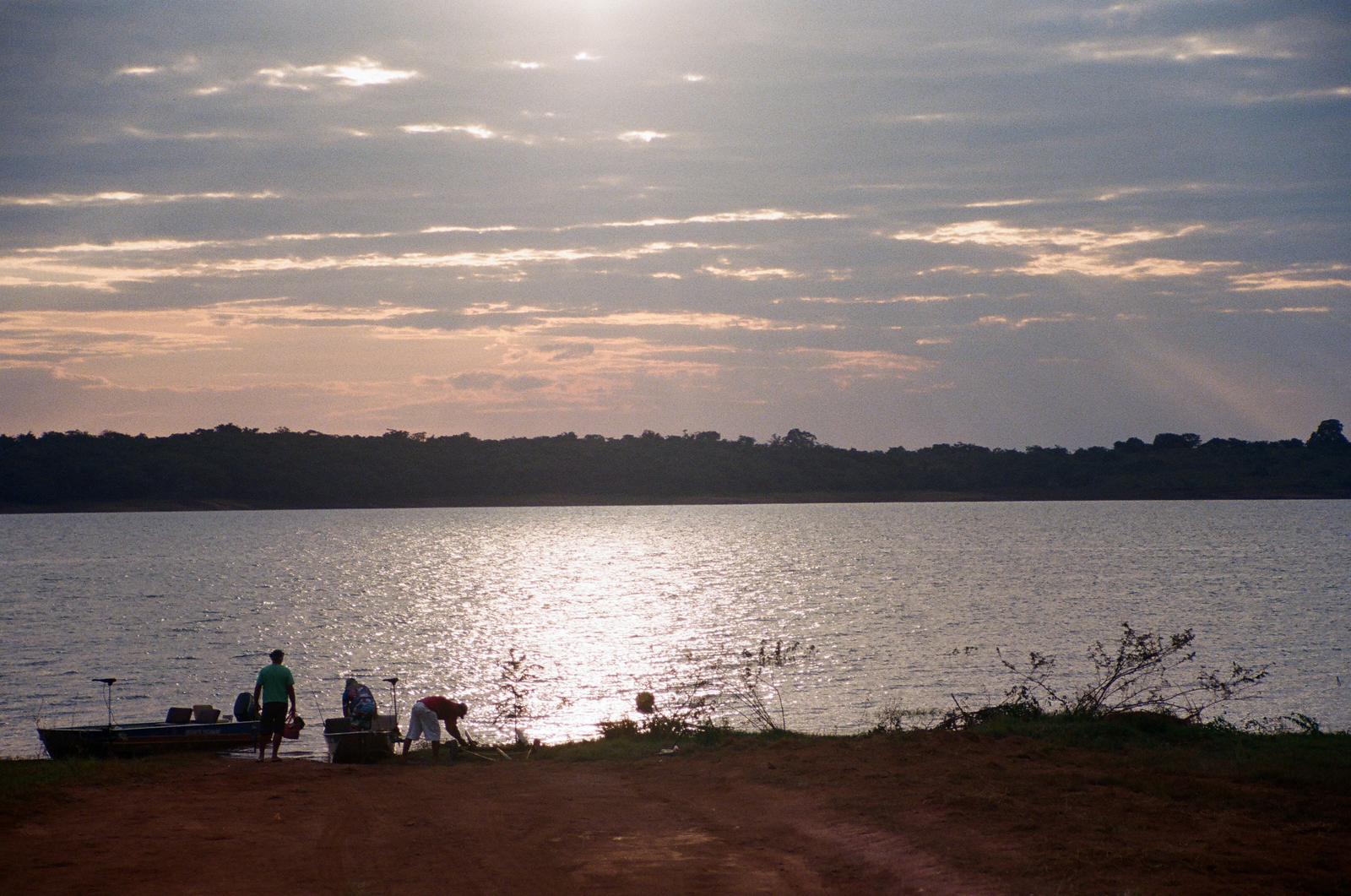 Surucuá