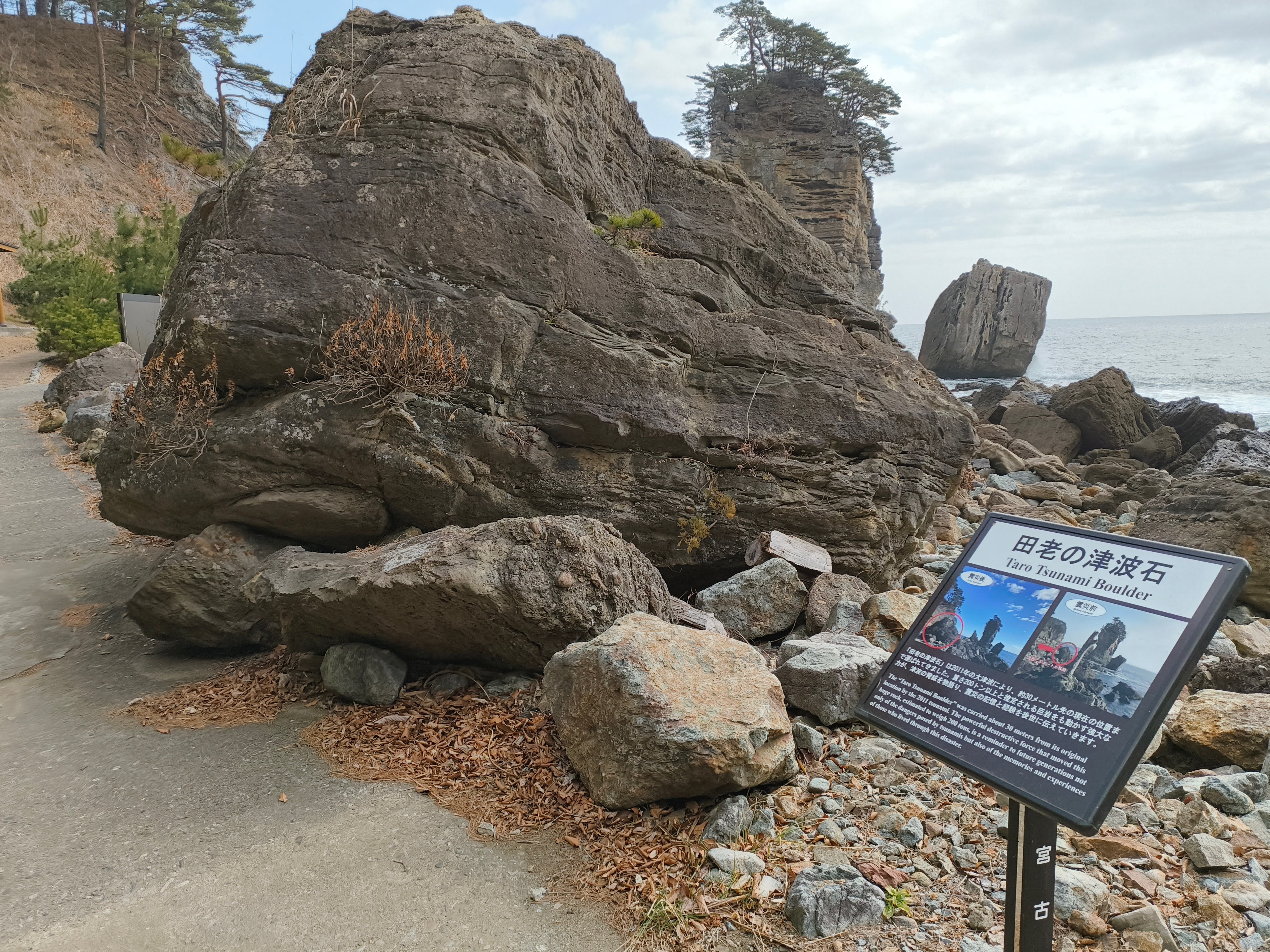 Taro Tsunami Boulder with information sign and ocean views