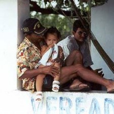 Kuh wird durch Festsaal geführt