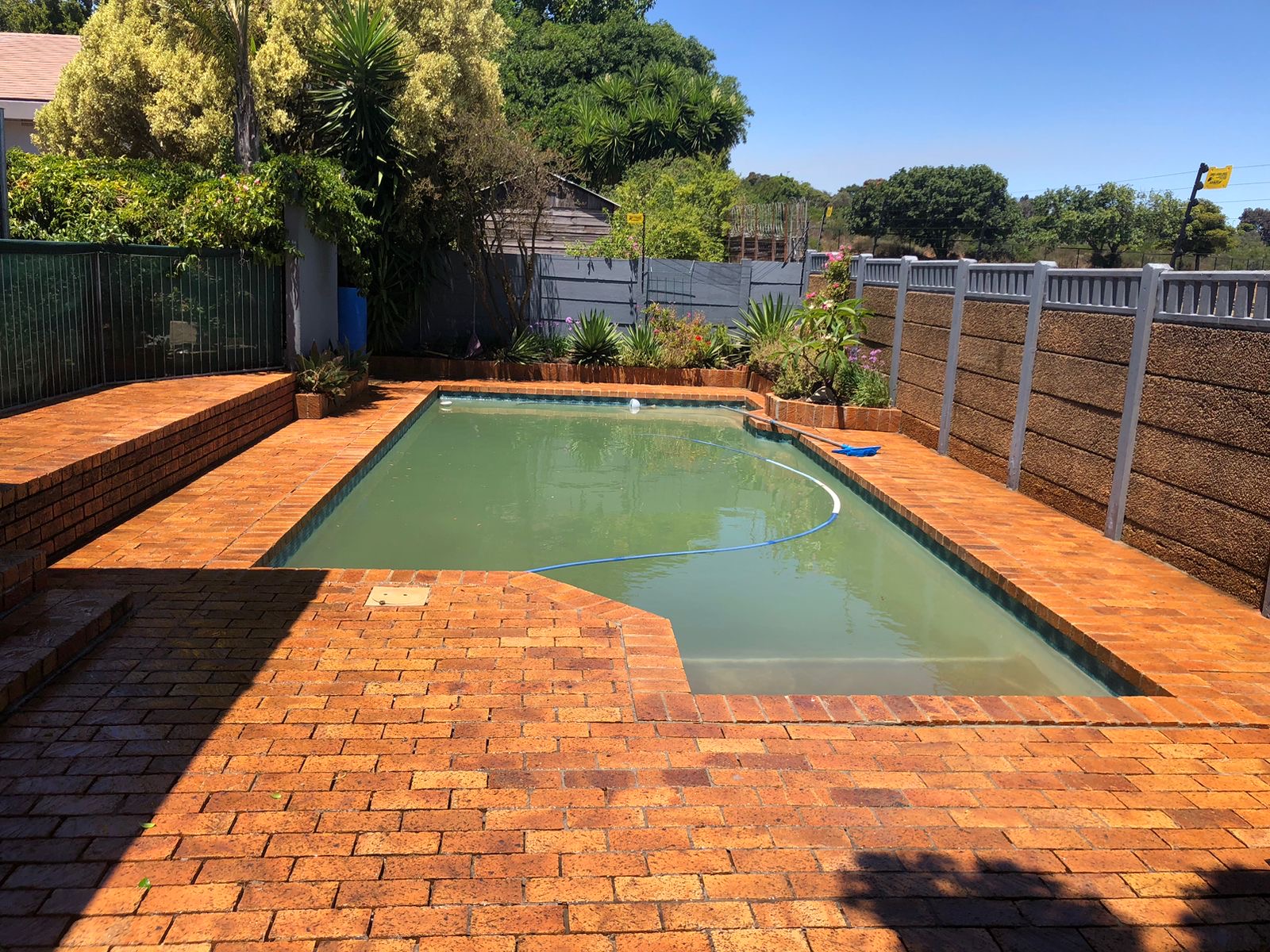 Pool Surround after