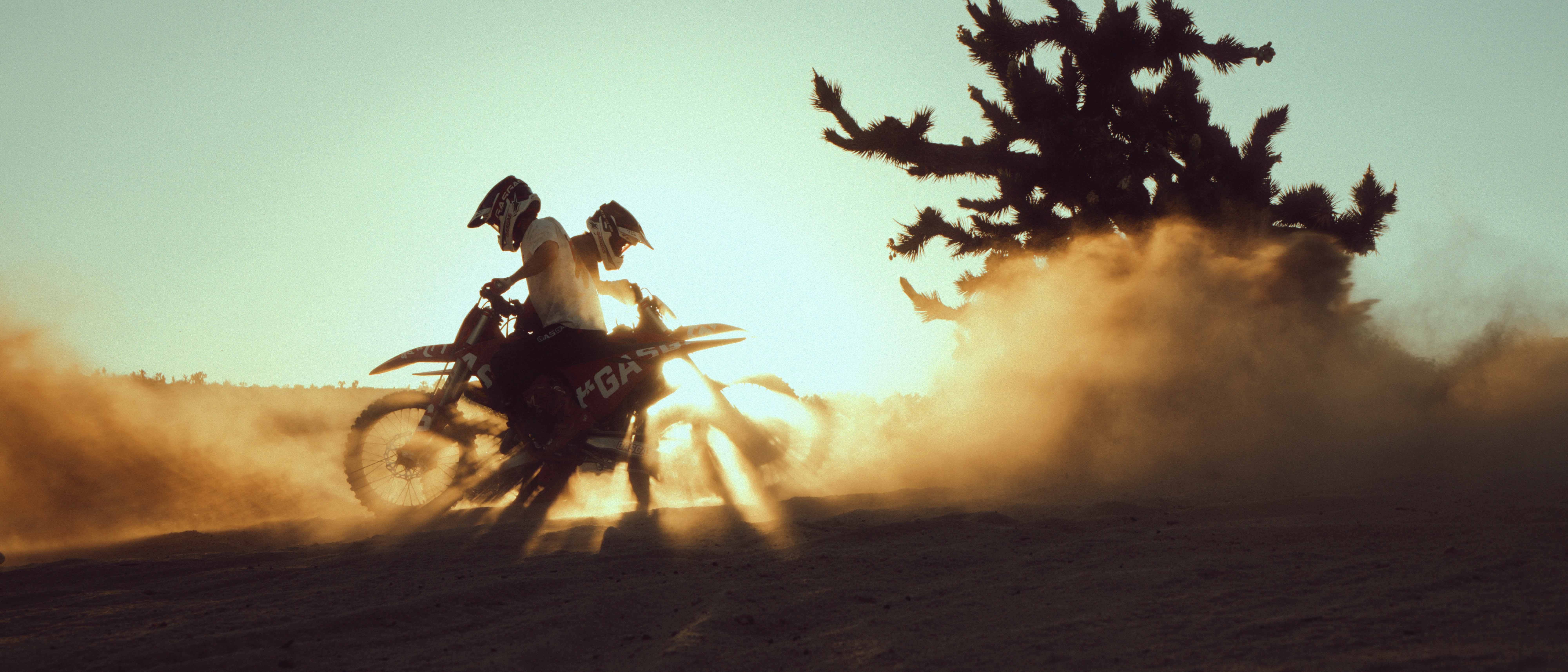 Silhouetted riders kicking up a golden dust cloud beside a Joshua tree at sunset