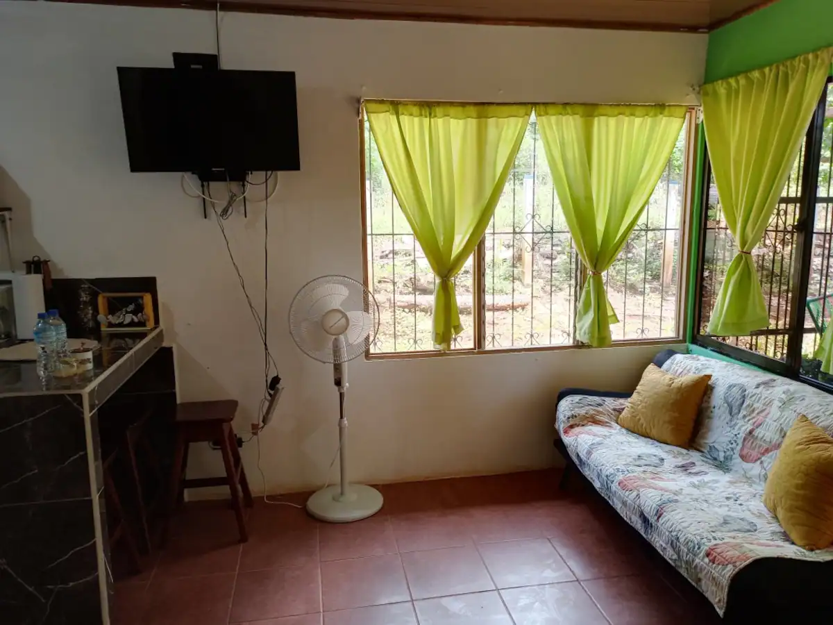 Sofá junto a una ventana amplia con cortinas verdes