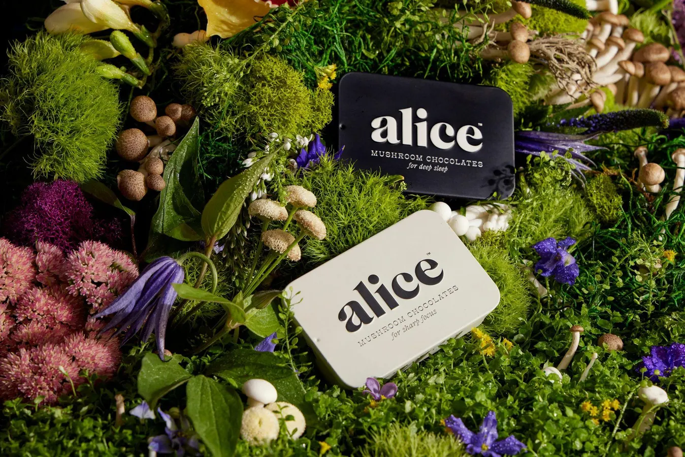 Alice Mushrooms