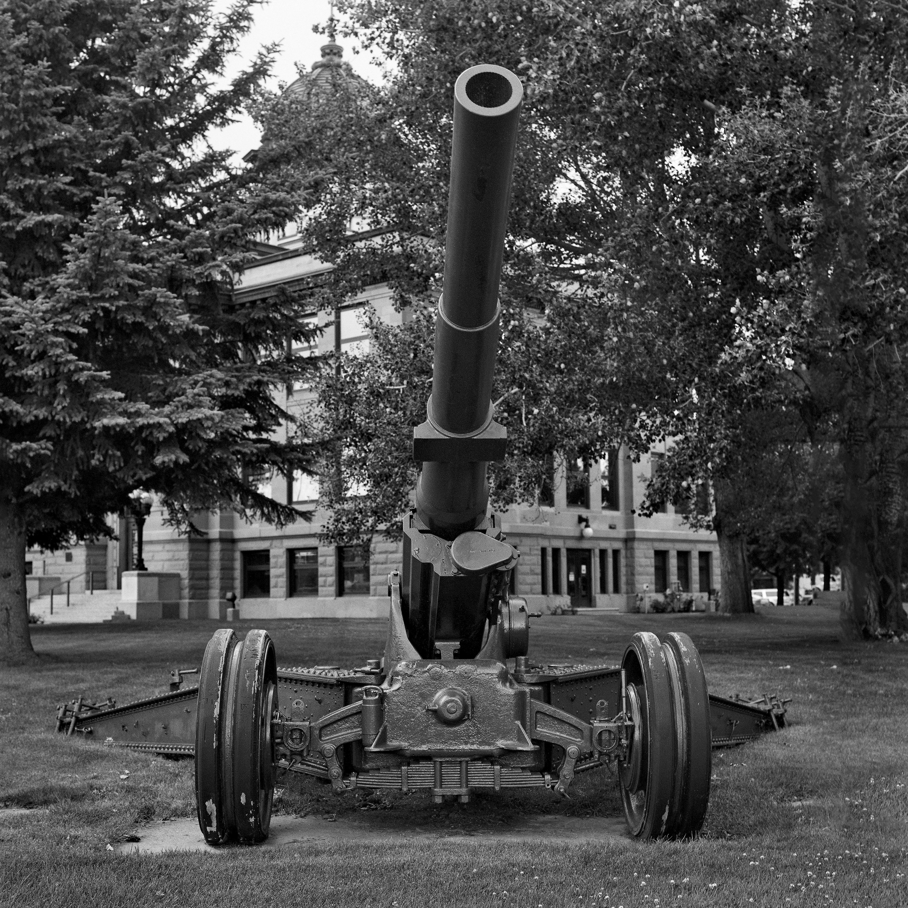 Historical artillery cannon on courthouse lawn with domed government building framed by trees