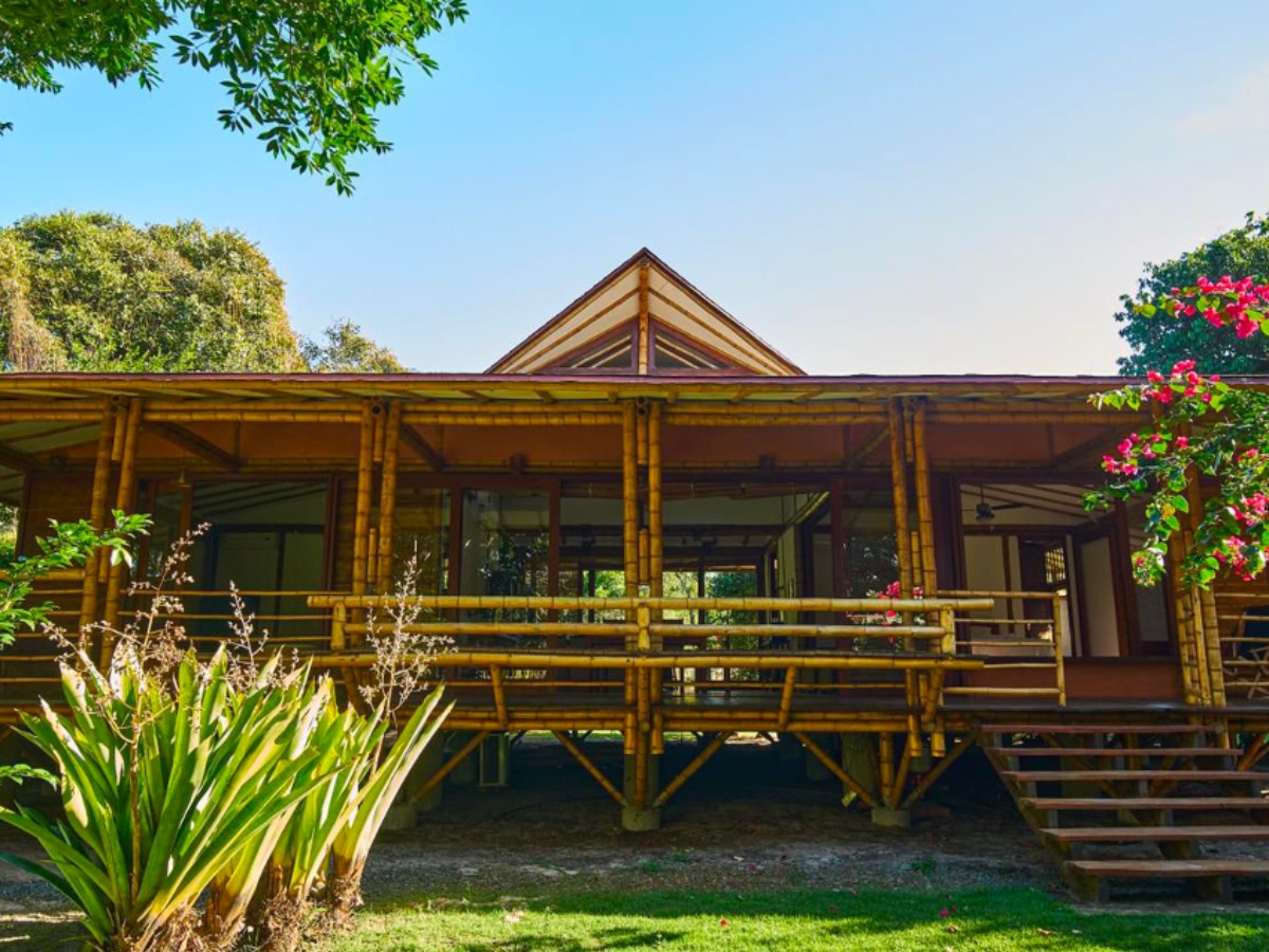 Casa Bambu Algodões - 1