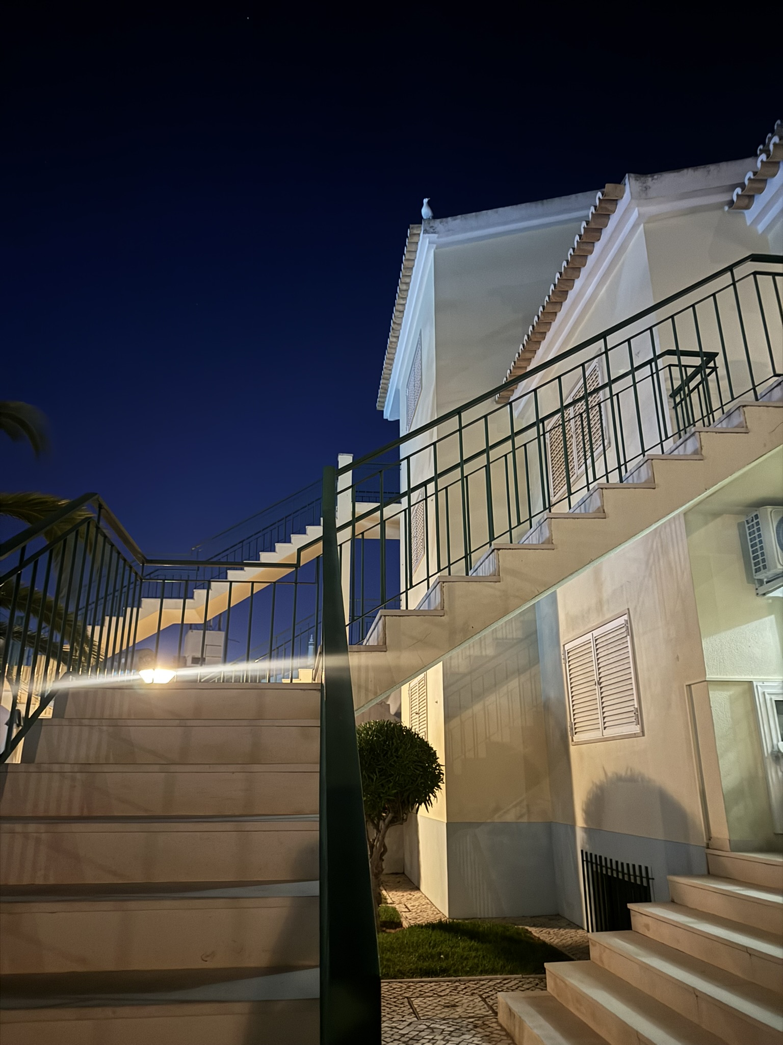 A seagull perched on the roof peak above the apartment stairwell at night