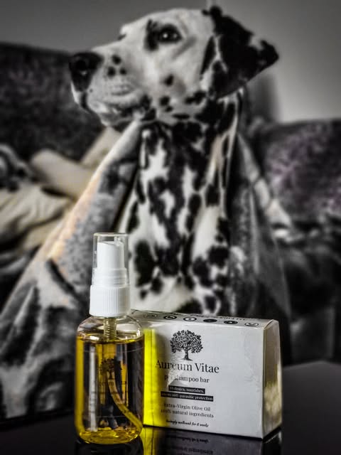 Dalmatian with products