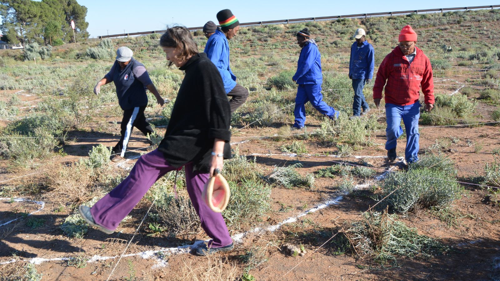Team action shot with volunteers running across site