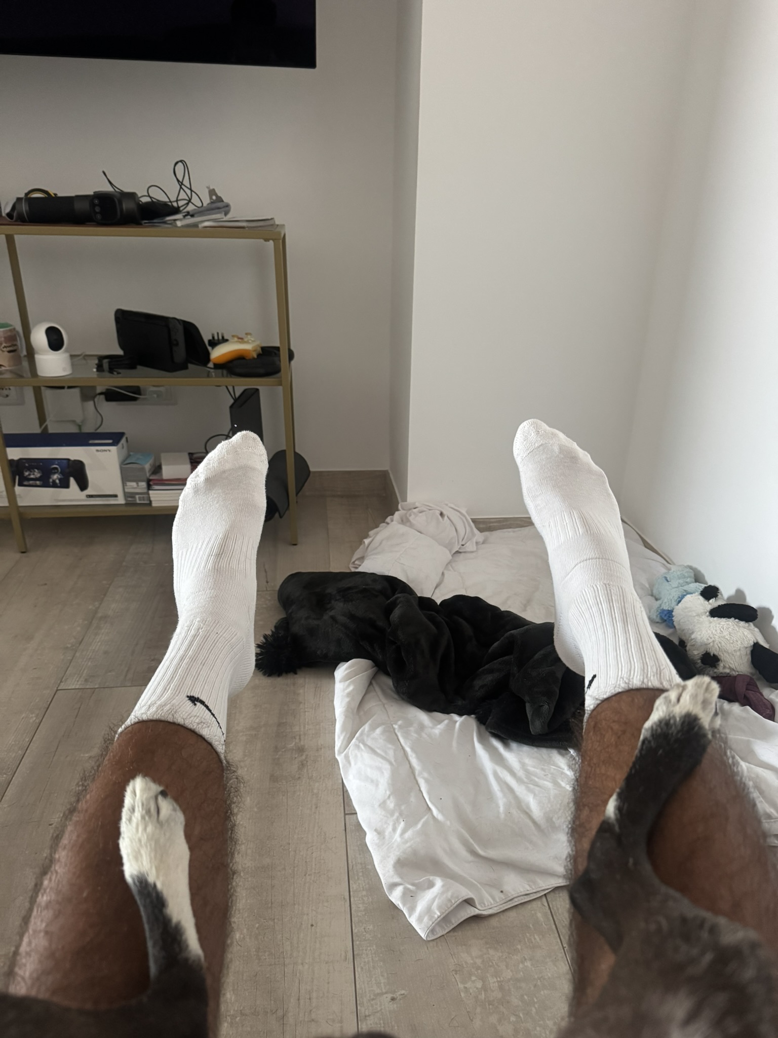Feet up at home with Sukuna resting on his blanket bed nearby