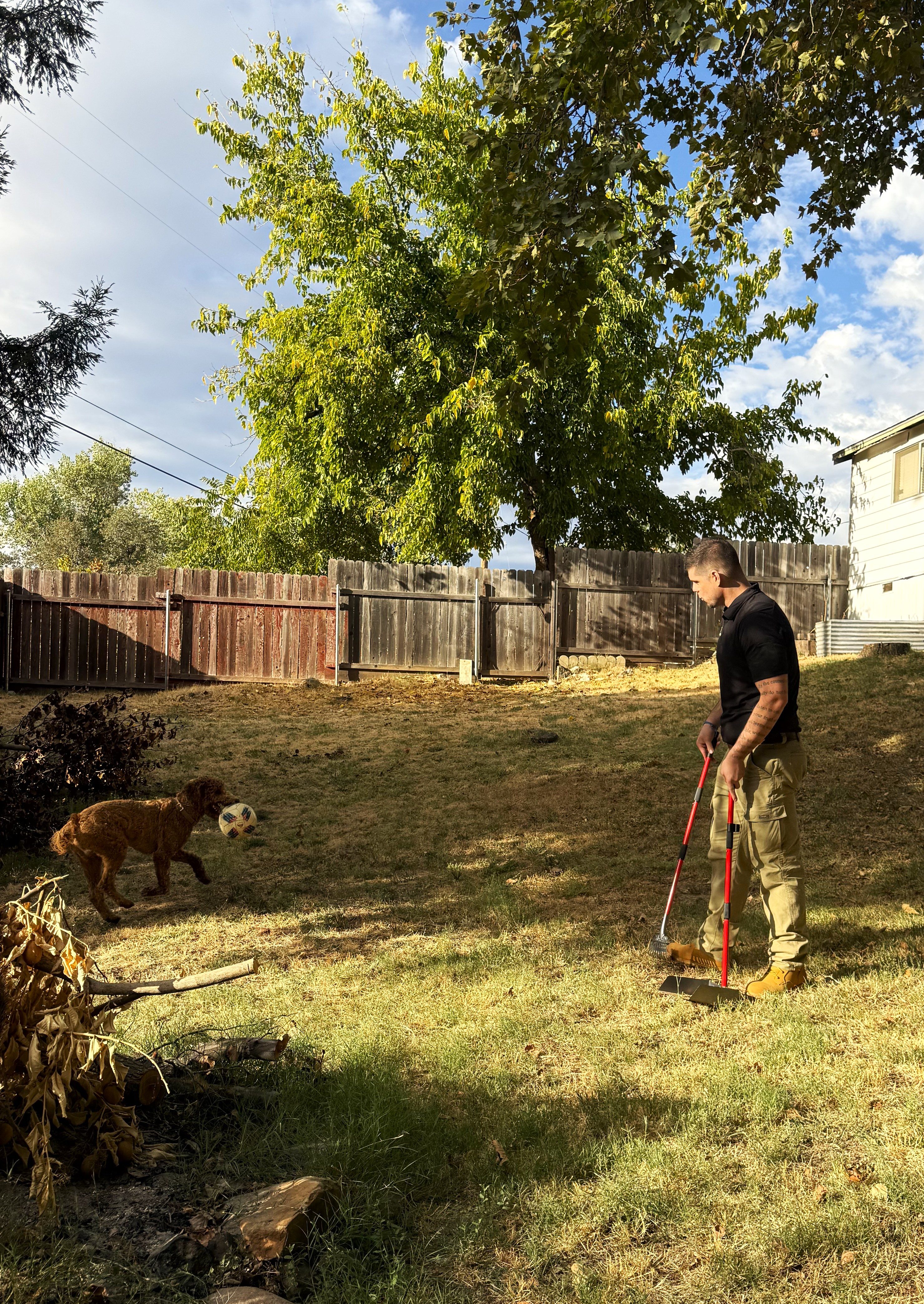 Poop Scoop Co. team member working in a backyard with a dog