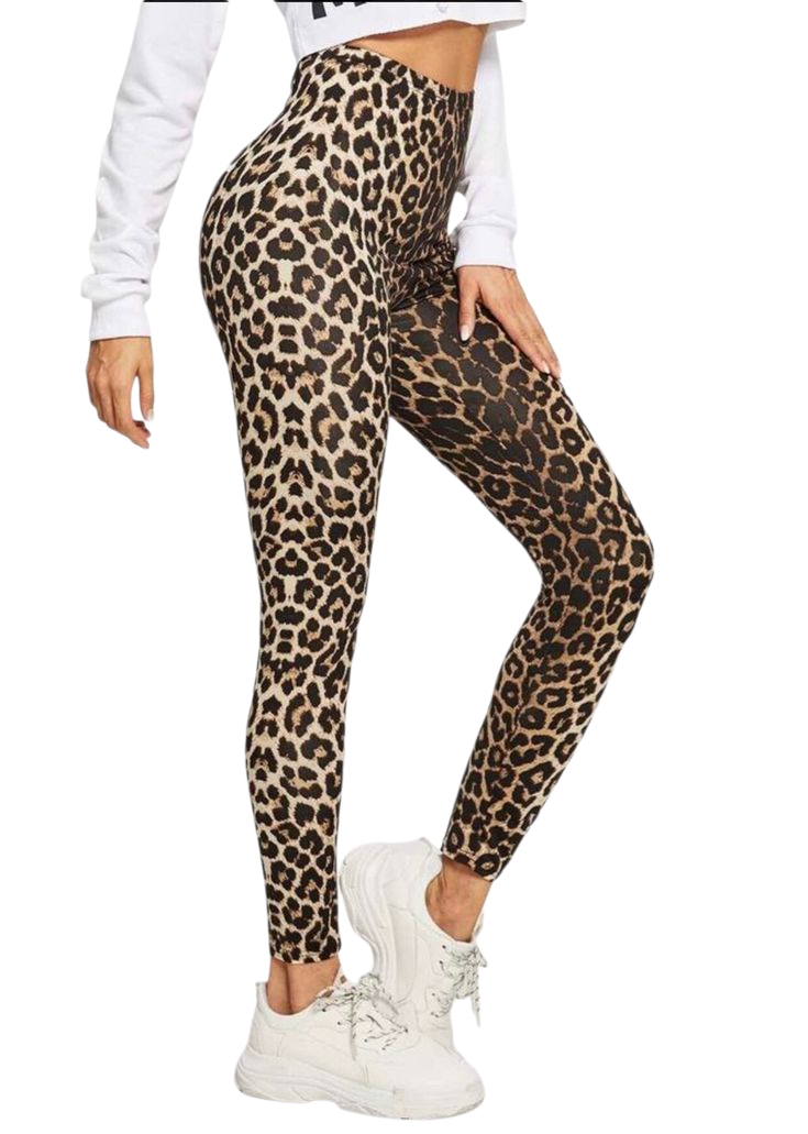 Legging Pants 6