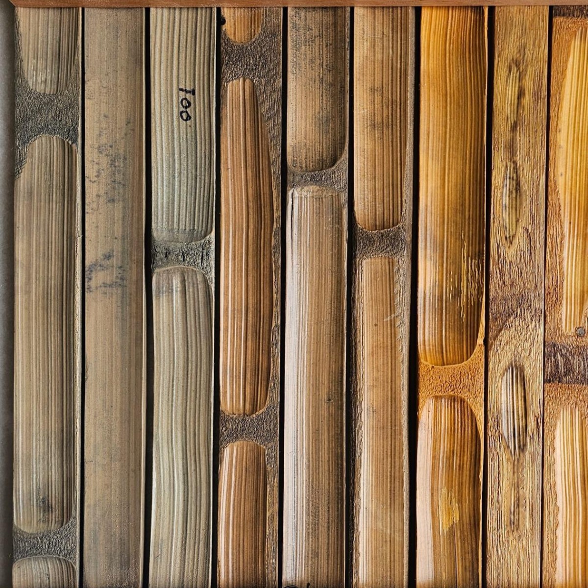 Superfícies texturizadas de bambu