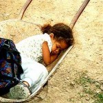 Kind schläft in einer Schubkarre