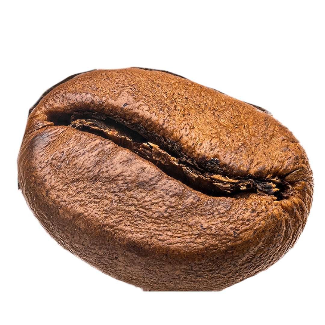 Coffee Bean