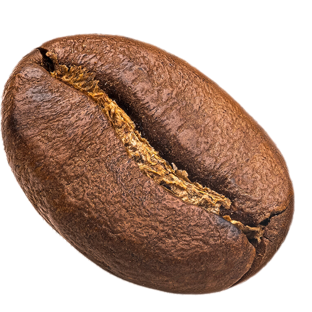 Coffee Bean