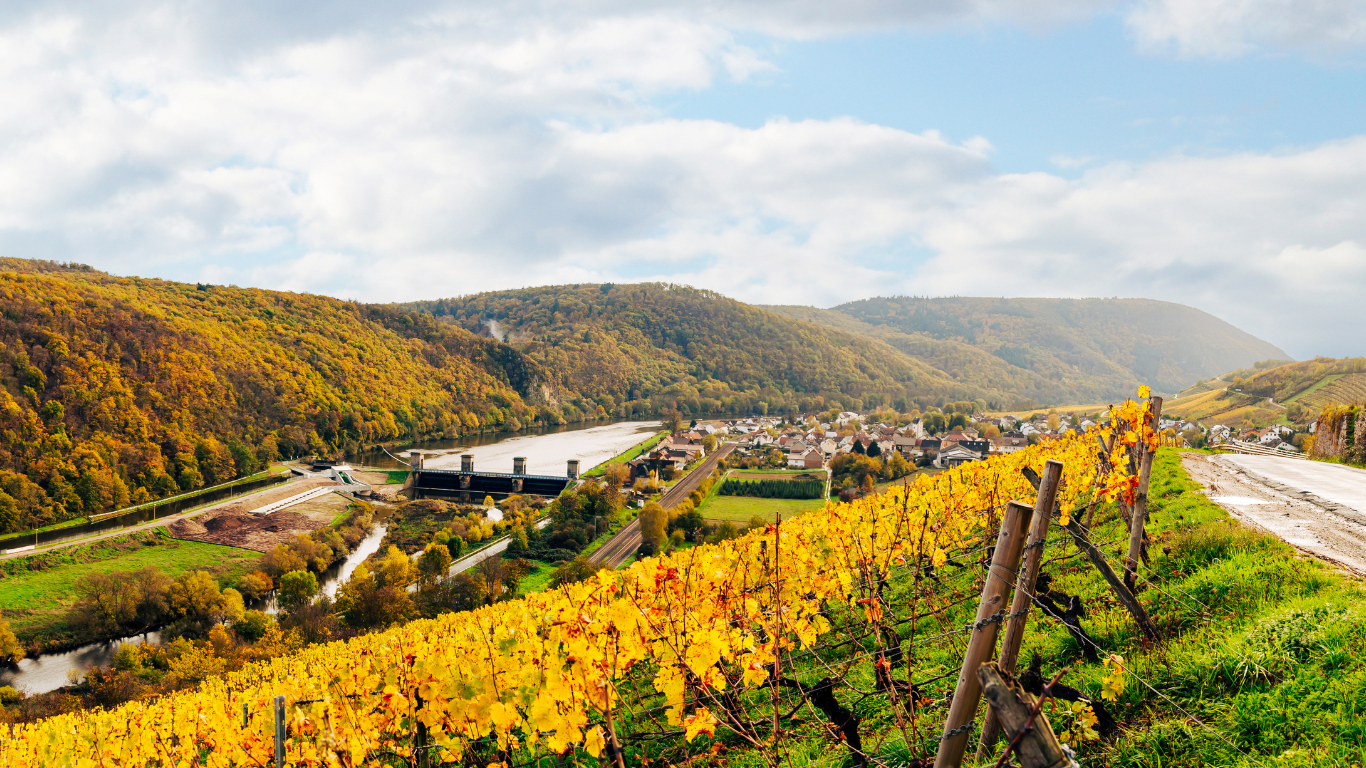 Weinberge und Nahetal im Herbst