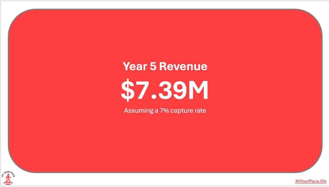 Year 5 Revenue Projection