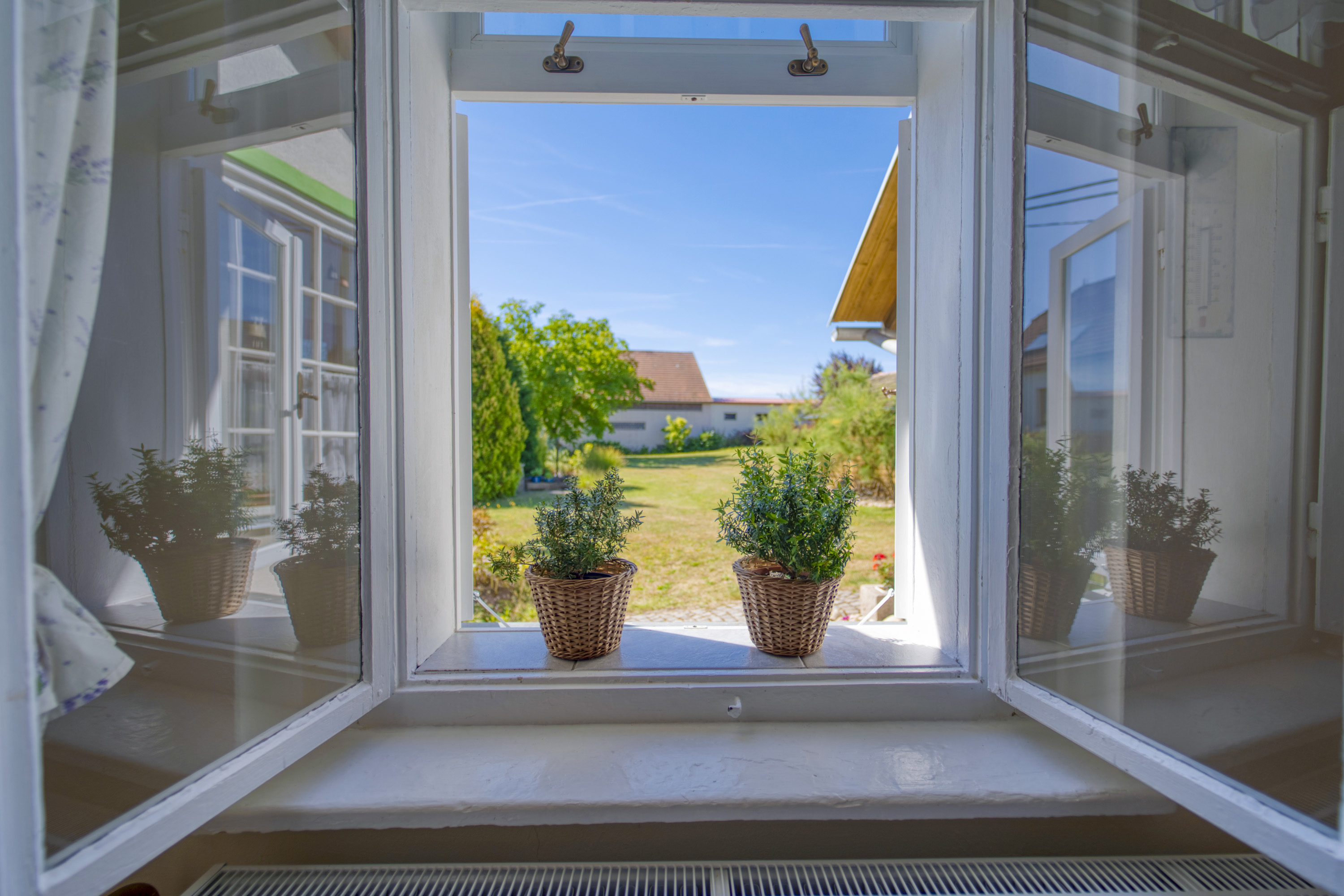 Open window looking onto a sunny garden