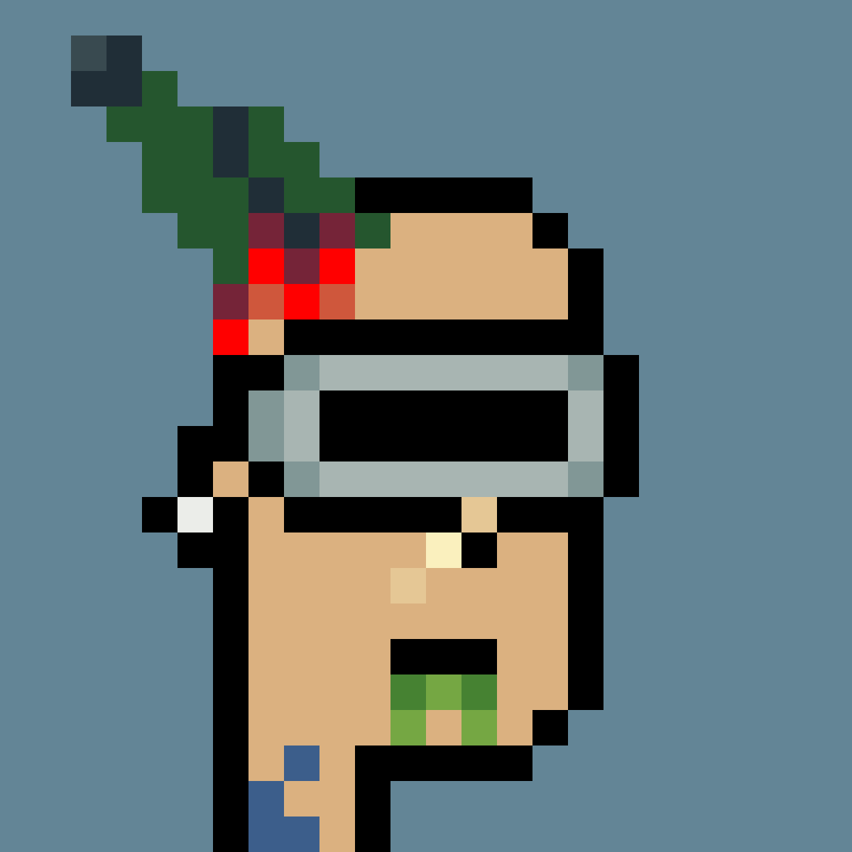Misfit Punk #14