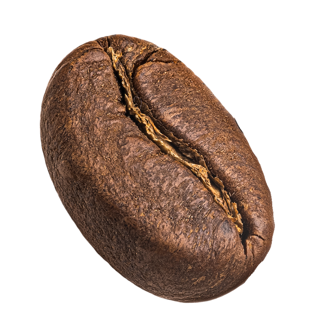 Coffee Bean