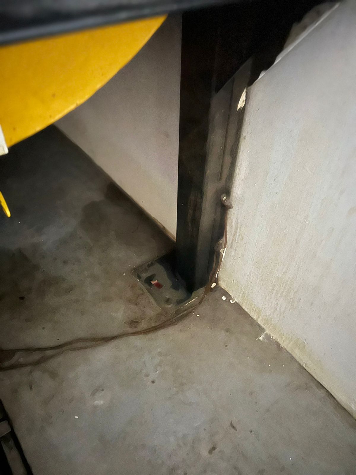 Treinamento de evacuação e controle de pânico com manequins de RCP