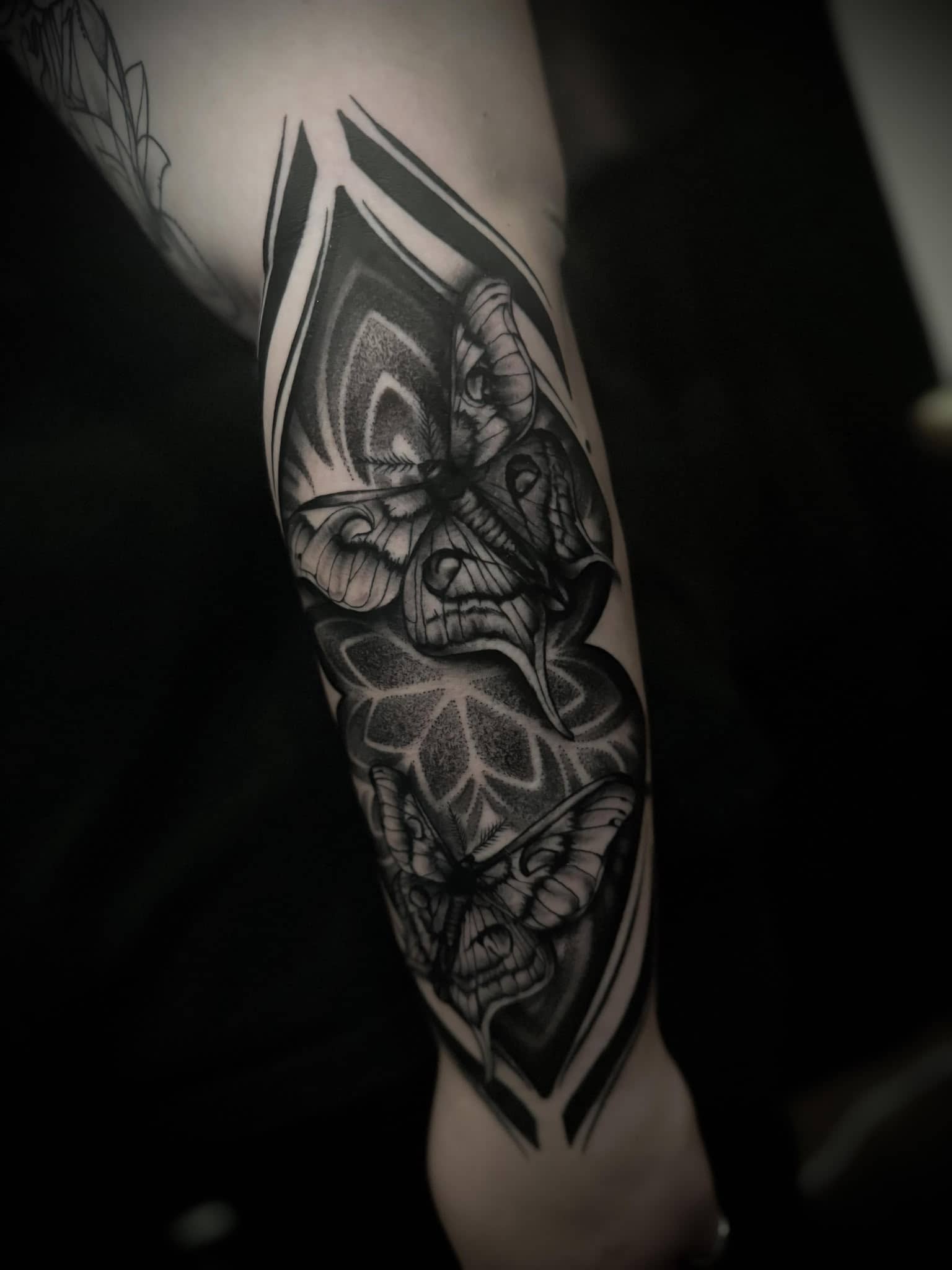 Blackwork Motte mit Totenkopf-Gesicht im Diamant-Rahmen am Unterarm