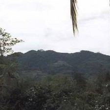 Hügellandschaft mit tropischer Vegetation rund um Alcoy