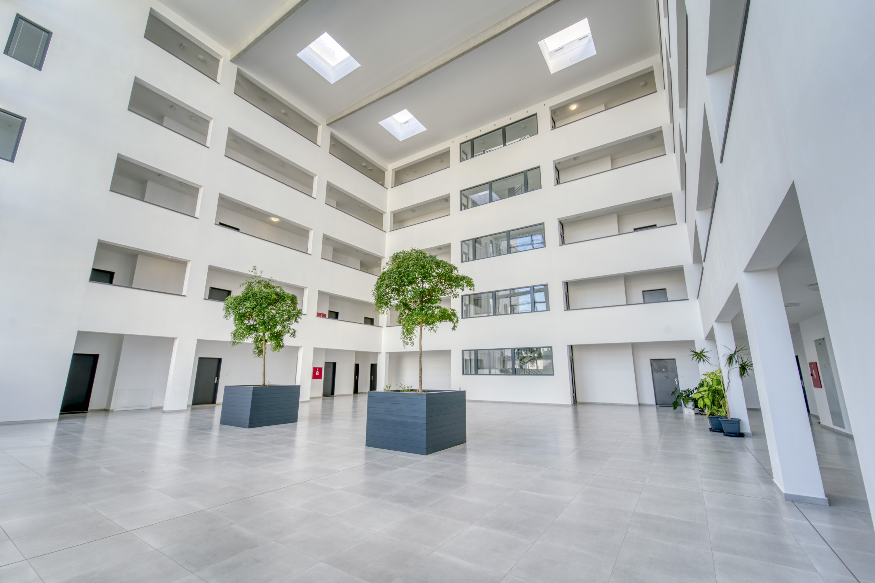 Bright white apartment atrium with indoor trees