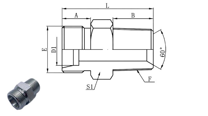 1CT - Metric Male 24°L.T. × BSPT Male 60°