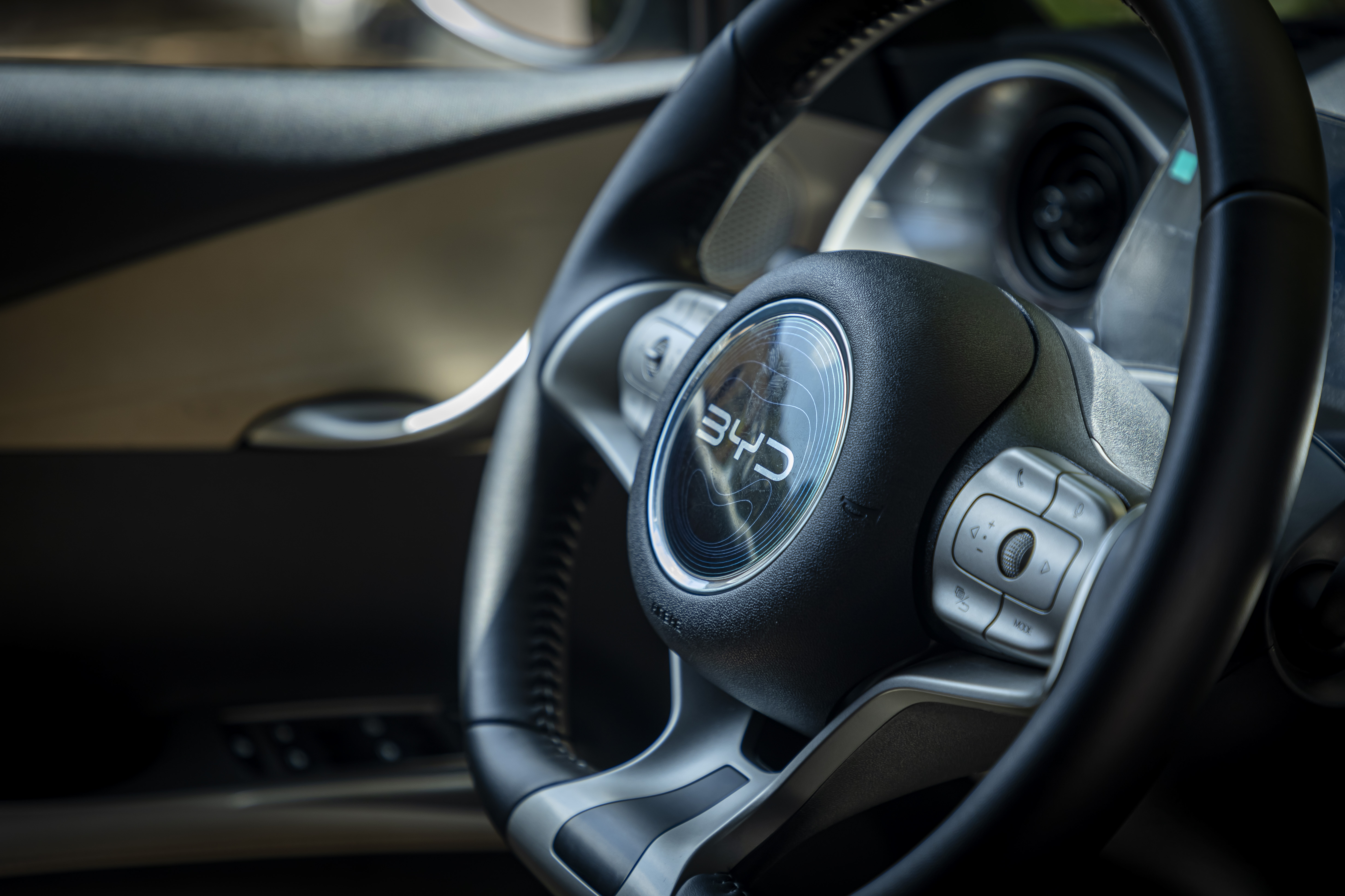 BYD Dolphin view 4