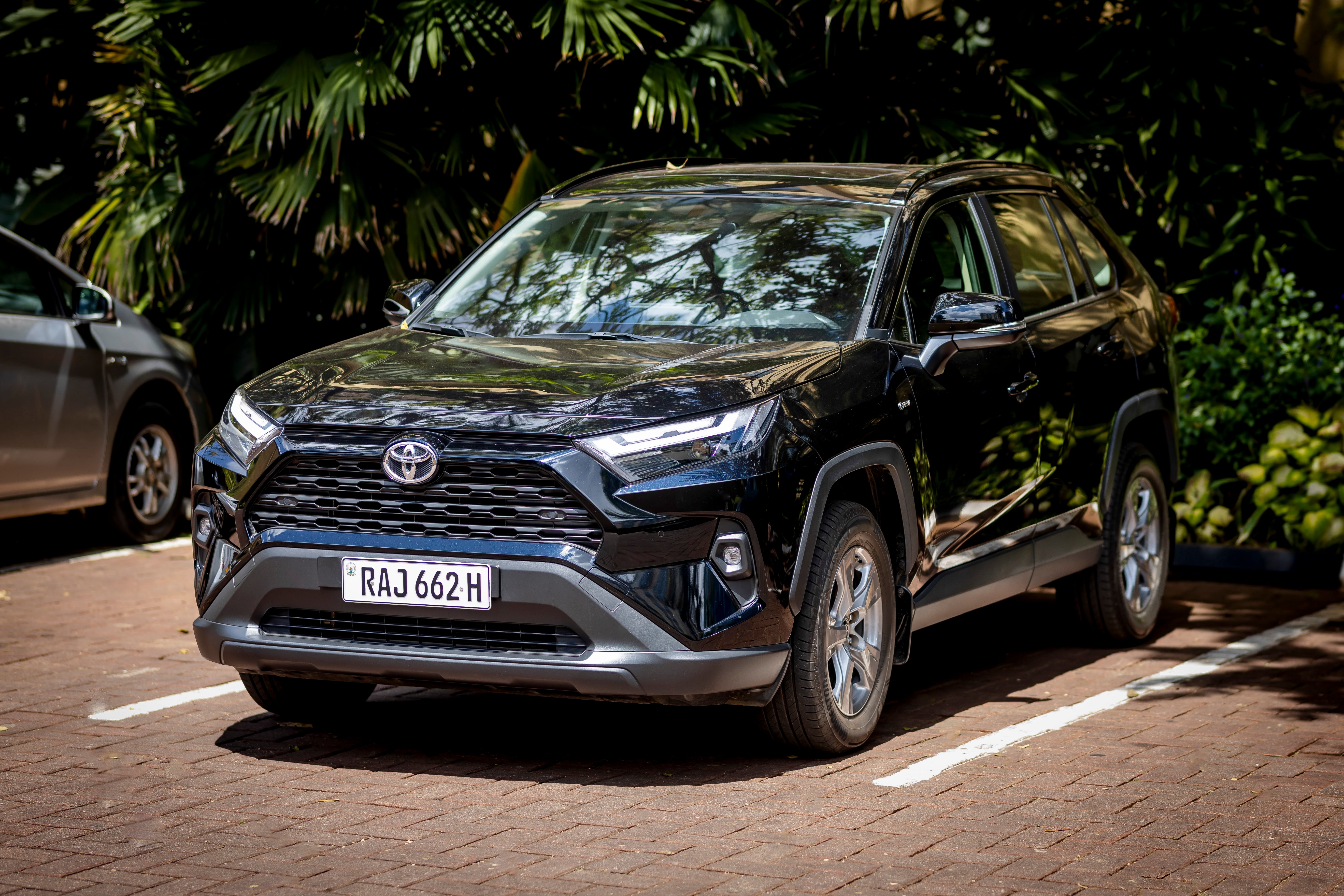 Toyota RAV4 2024