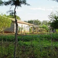 Gemüsegarten mit Gewächshaus auf dem Missionsgelände