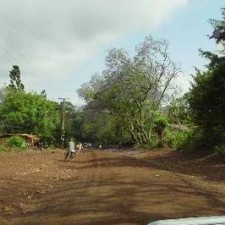 Unbefestigte Dorfstraße mit Bäumen und Fußgängern