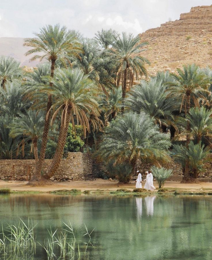 Saharan oasis with date palms