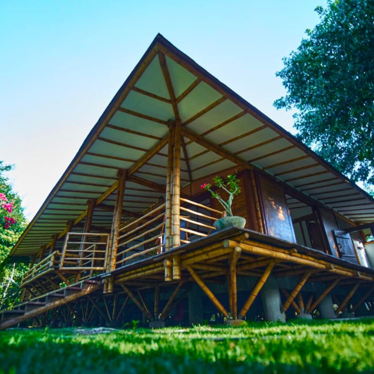 Casa Bambu Algodões