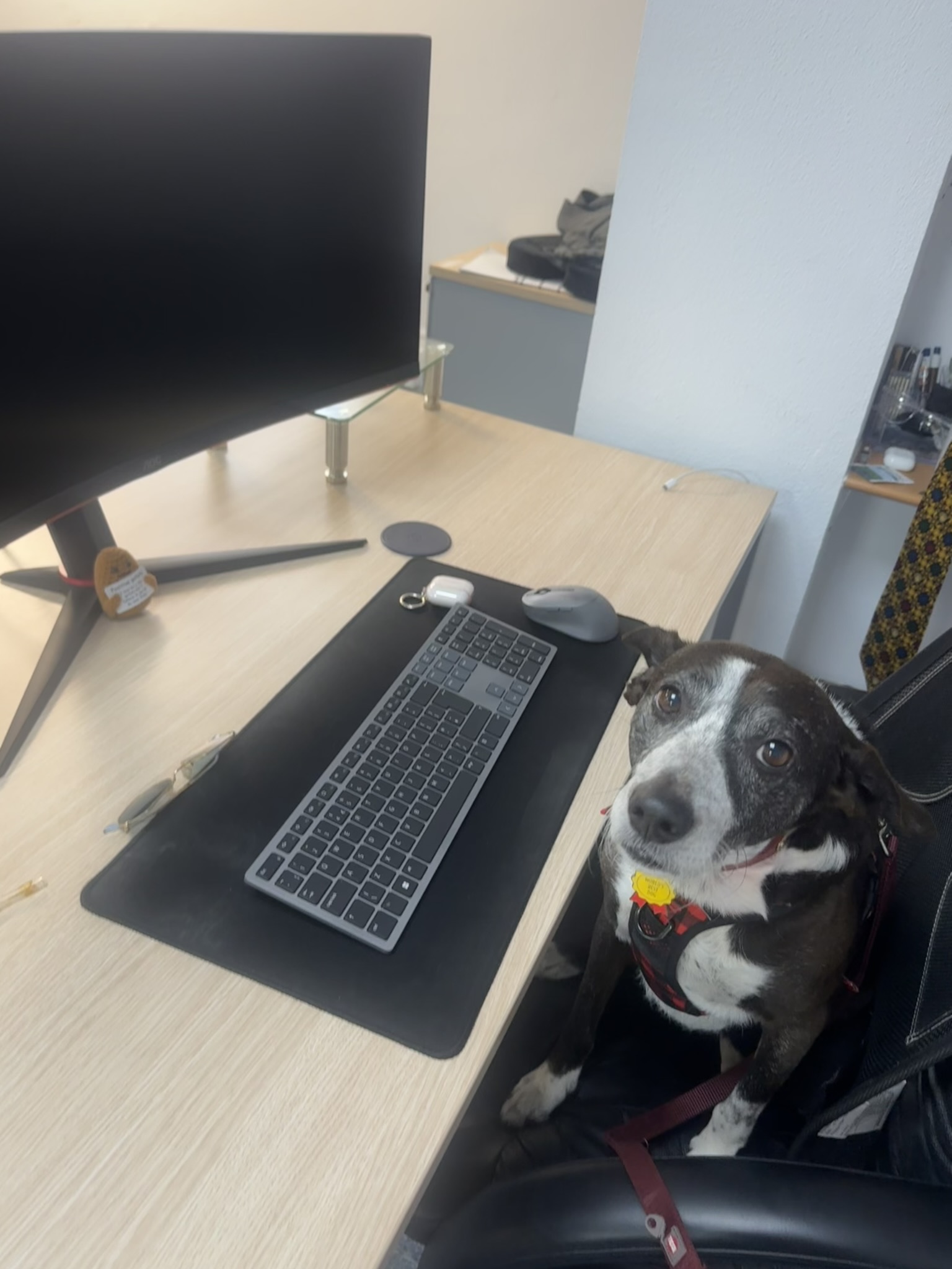 Sukuna sitting beside the office desk