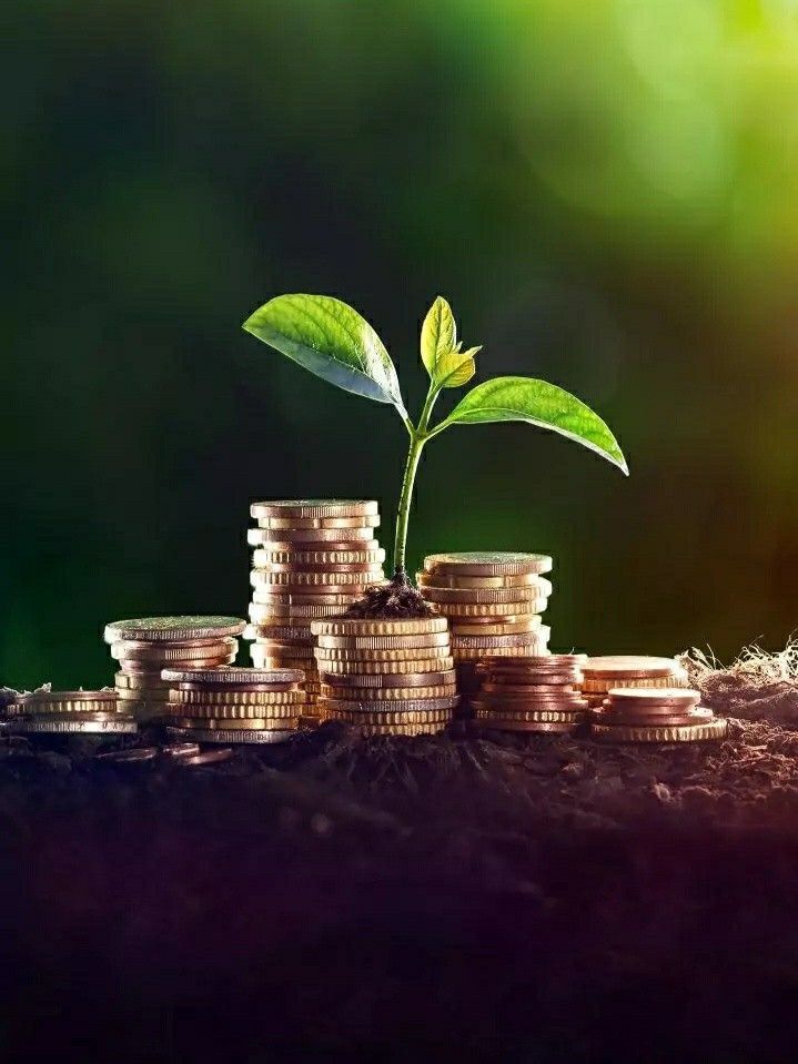 Capital Allocation