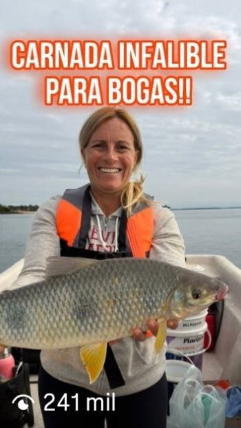 Reel viral: carnada infalible para bogas