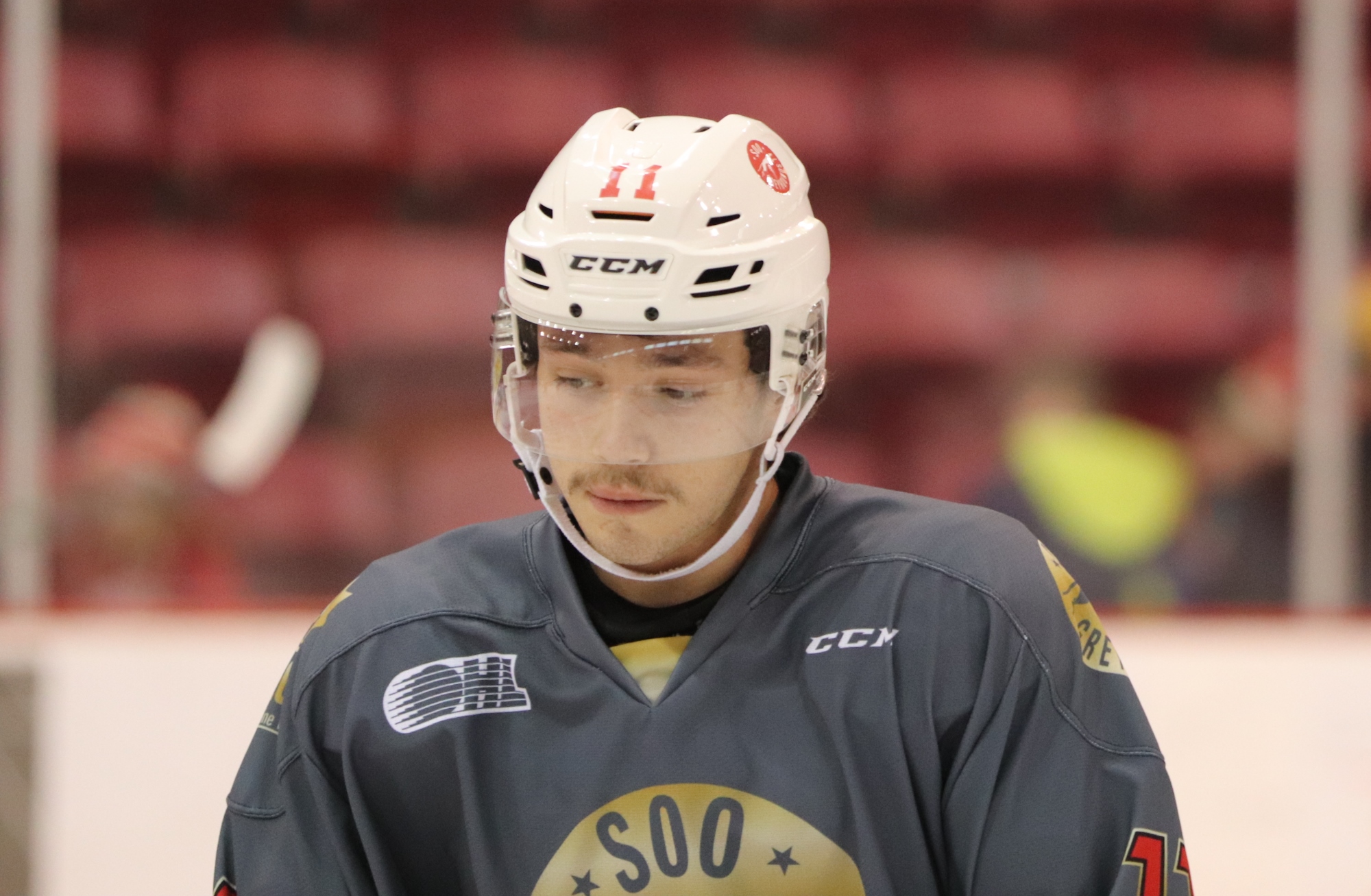 Billy Constantinou - Professional Hockey Player and Trainer