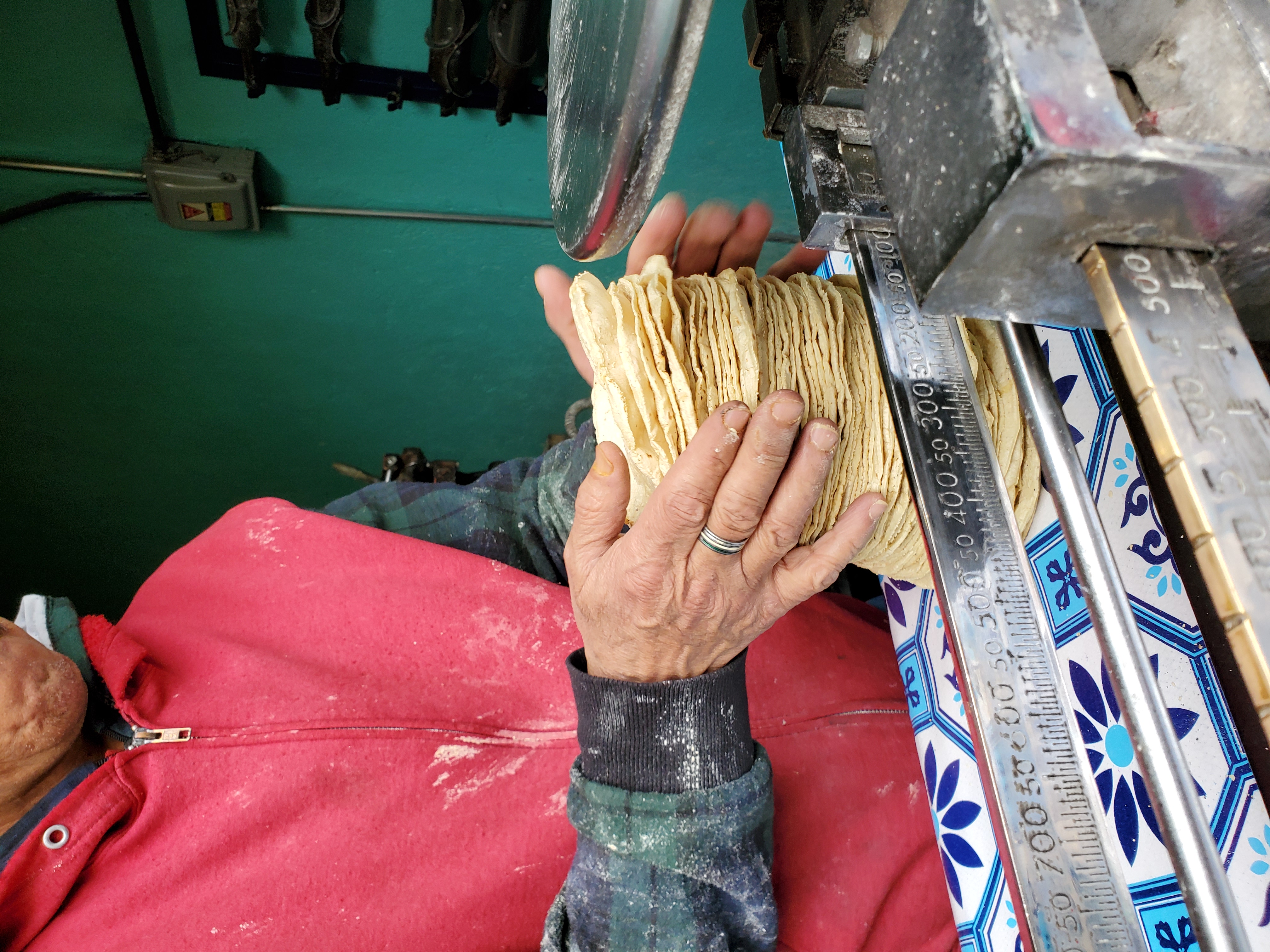 Fresh tortillas being stacked at a tortillería in Centro Histórico, Mexico City