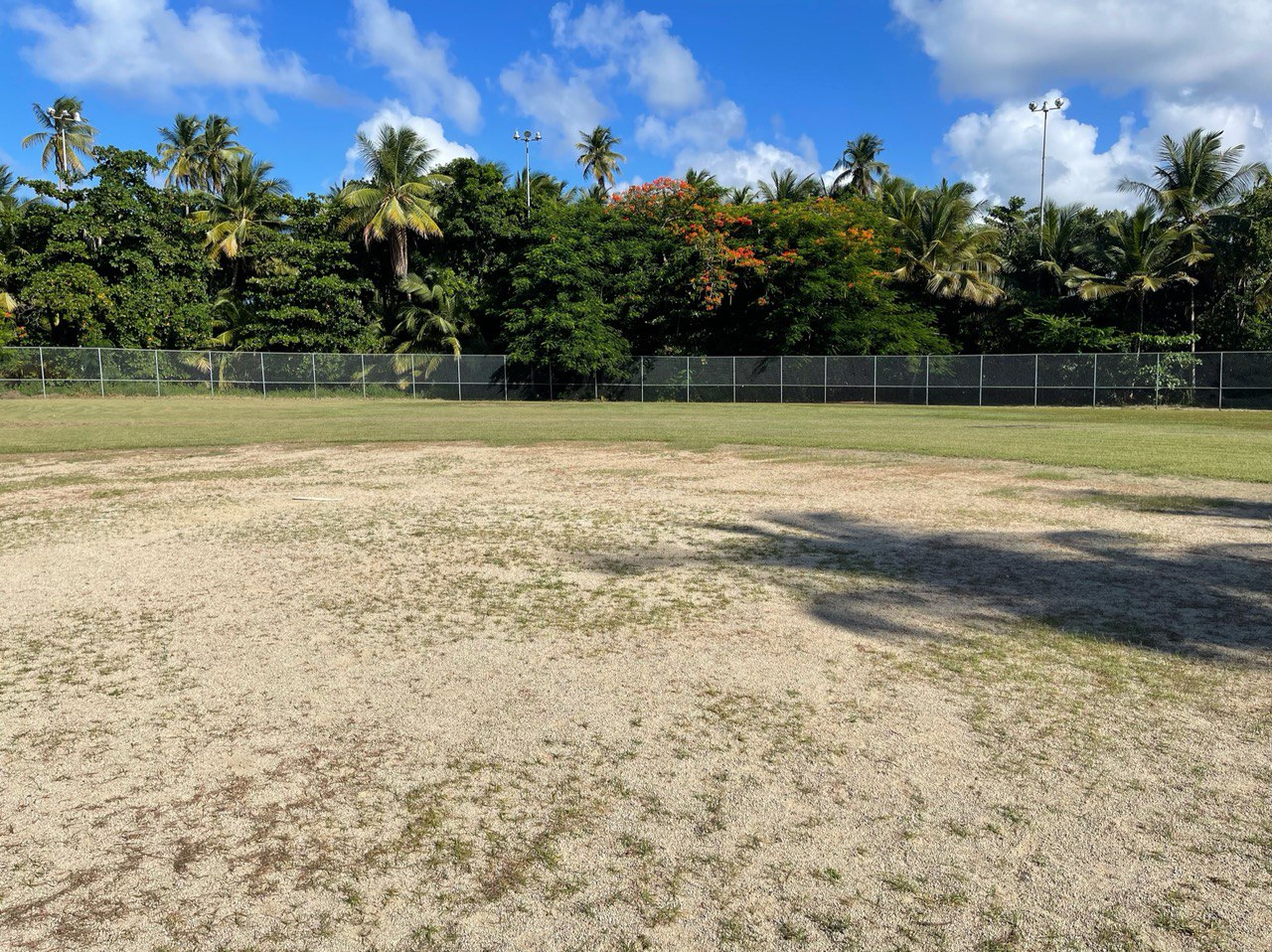 Wide view of field showing dry patches