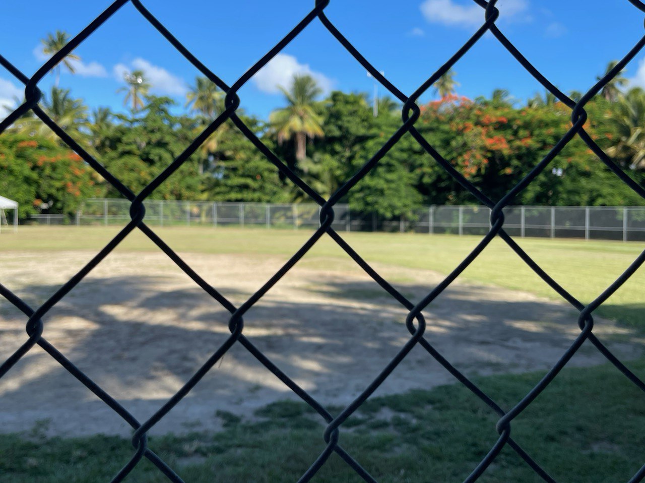 View through fence showing field condition