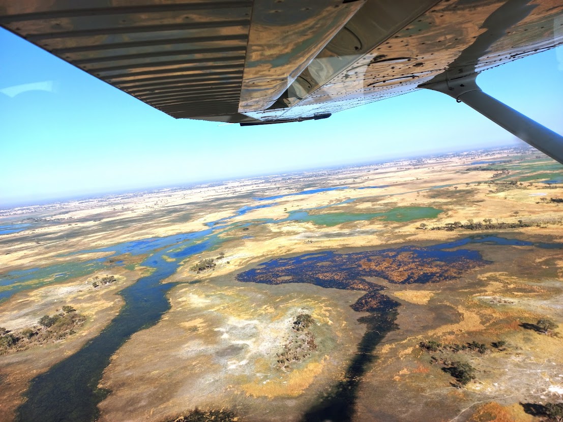 Aerial view from a small aircraft flying over the Okavango Delta showing the waterways and green islands below