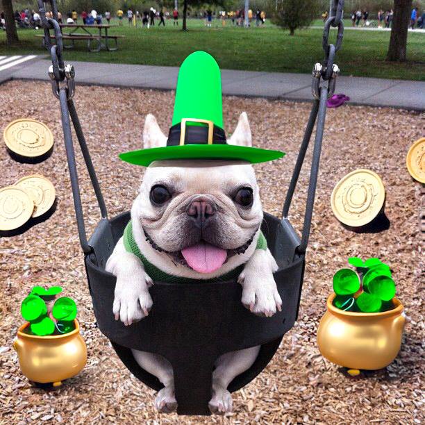 Swingy Leprechaun