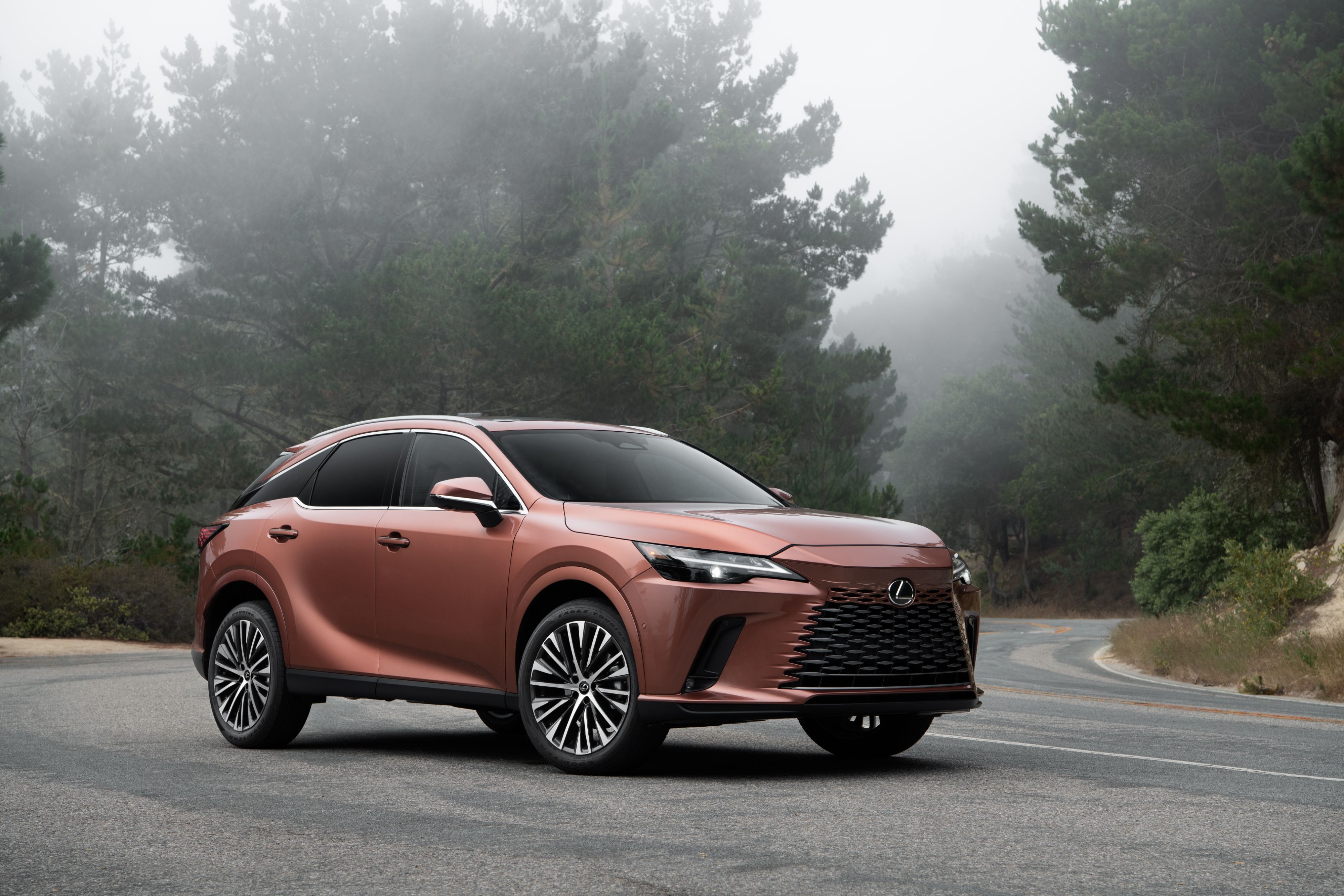2026 Lexus RX in Copper