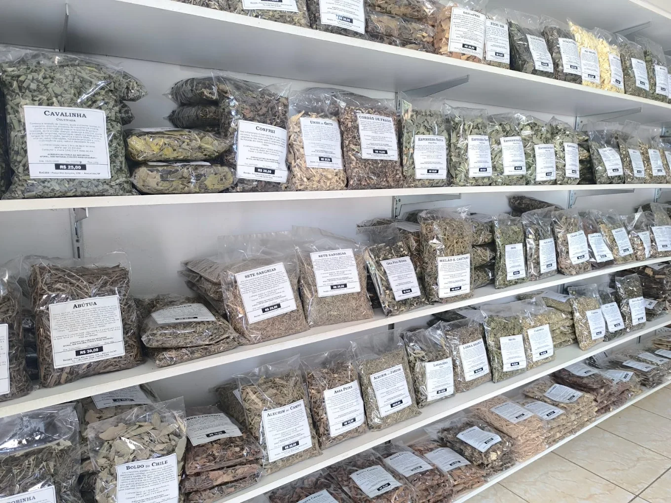 Variedade de ervas medicinais