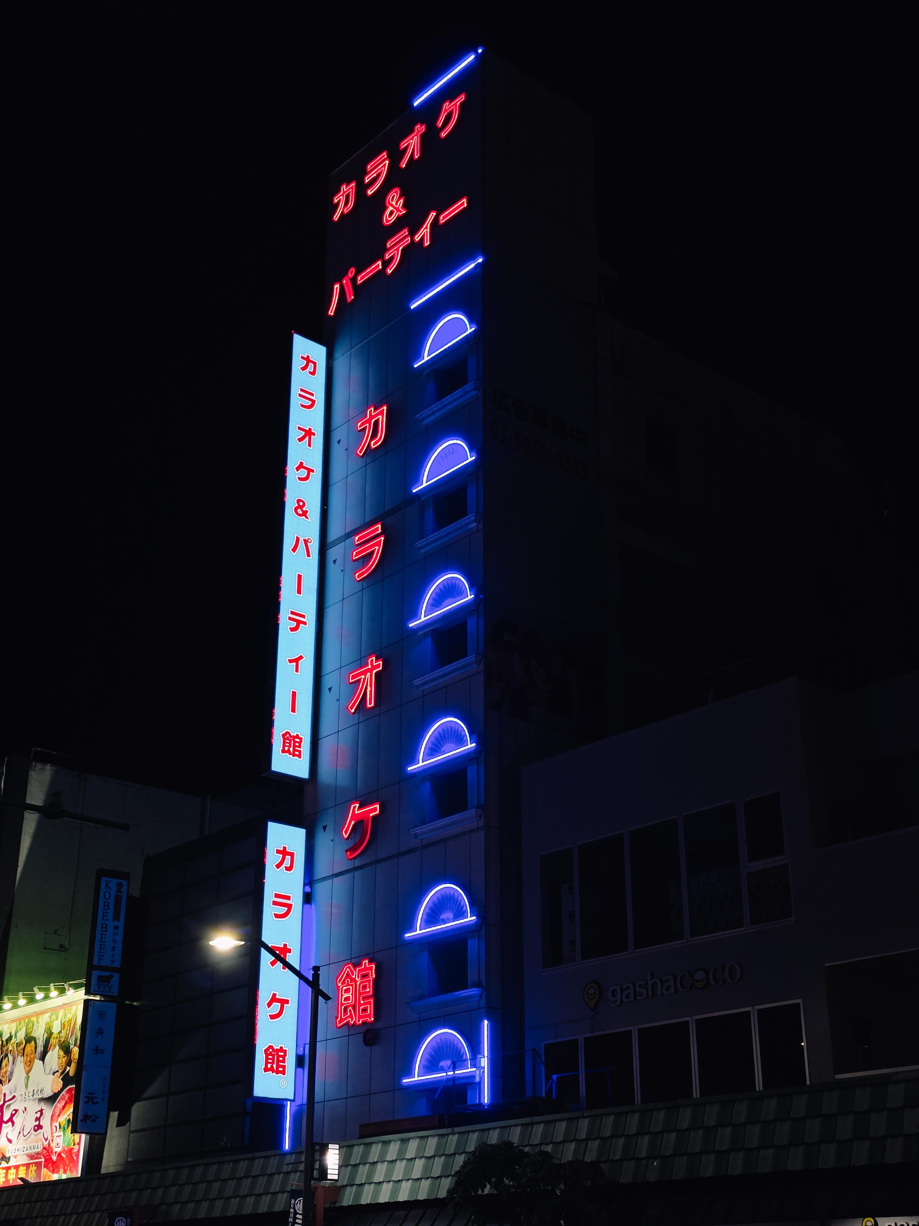 Neon-lit karaoke tower at night with red and blue signage