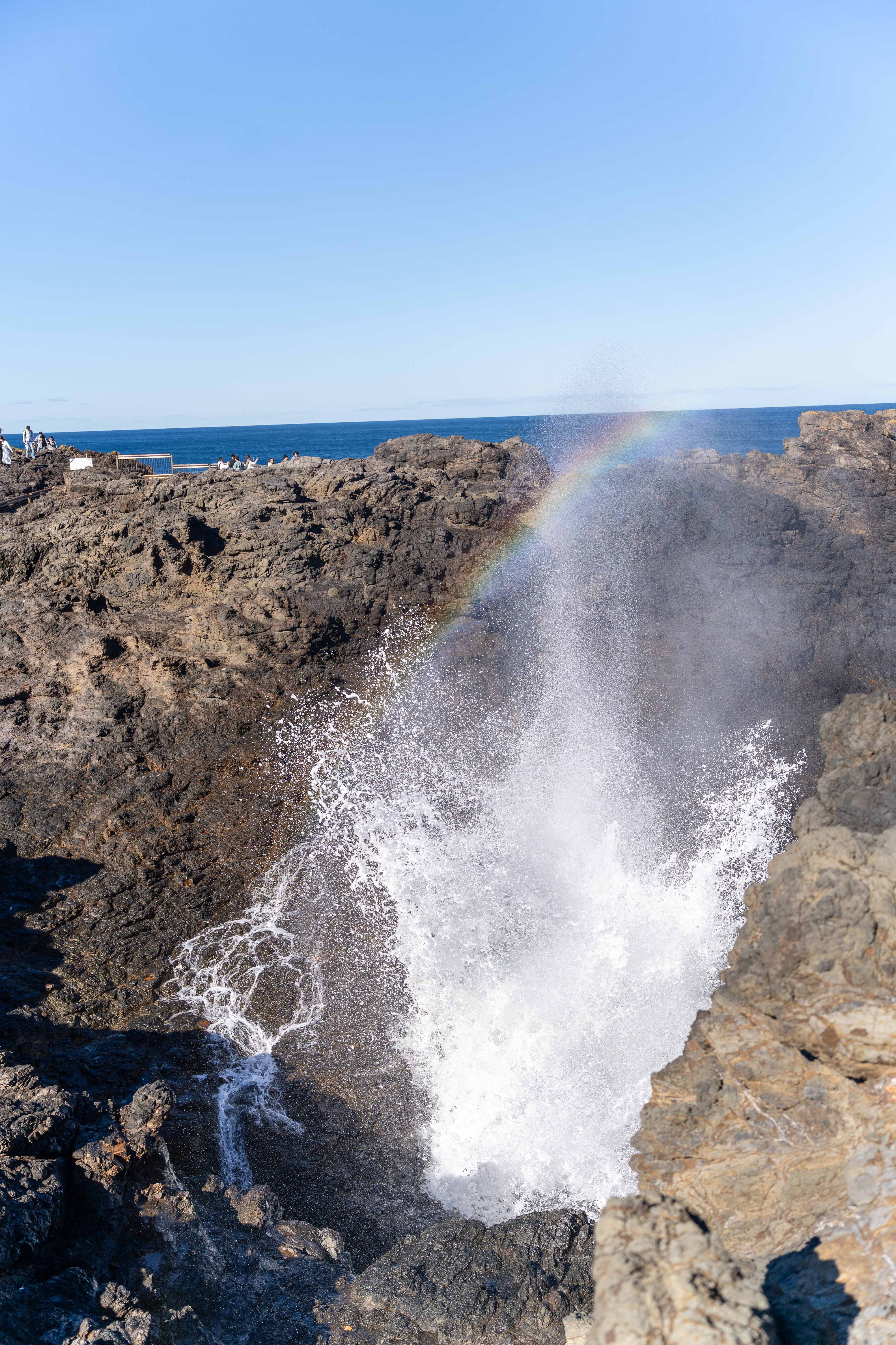Kiama blowhole erupting with a rainbow in the sea spray