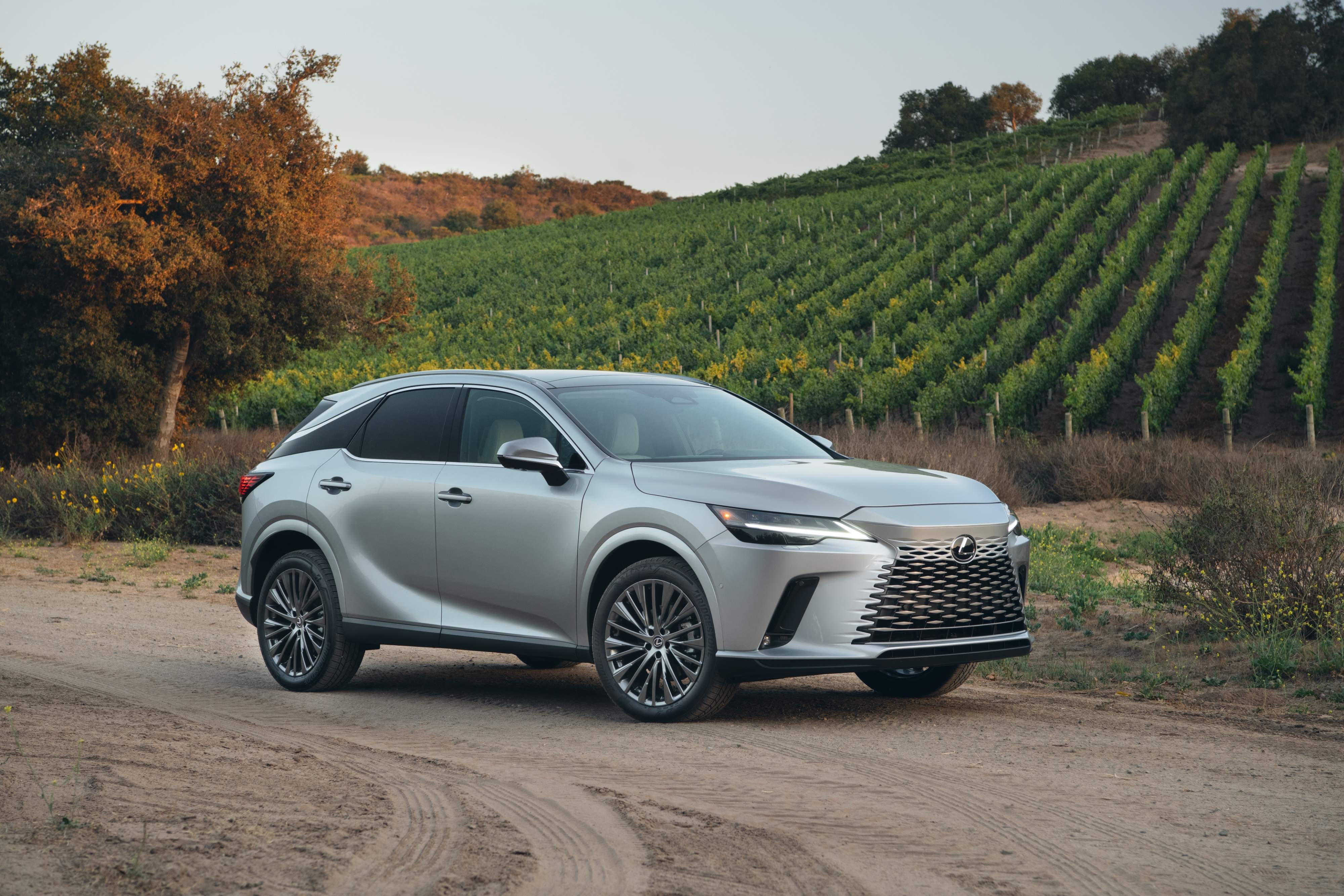 Lexus RX 350h Luxury Silver