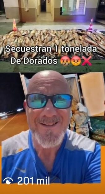 Reel viral: secuestran 1 tonelada de dorados
